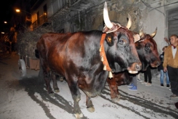 Calatafimi - Segesta471.JPG